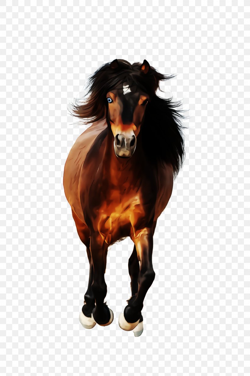 Horse Stallion Mane Shetland Pony Pony, PNG, 1632x2448px, Horse, Animal Figure, Brown, Mane, Pony Download Free