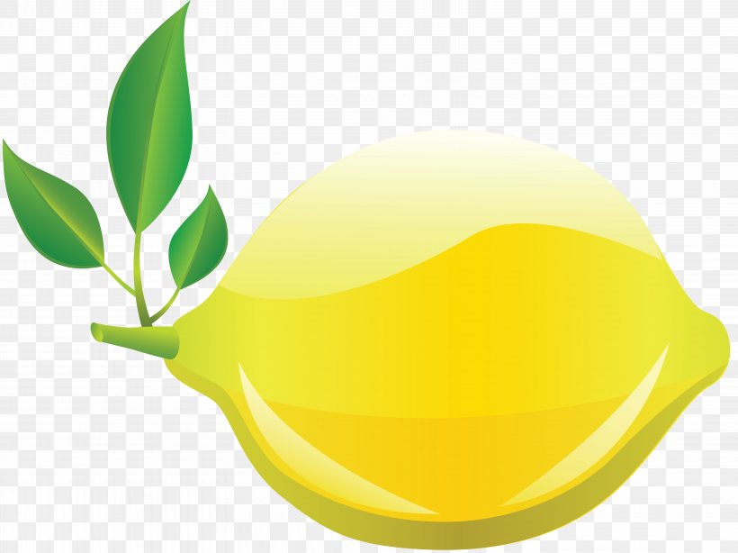 Lemon Citron Drawing Fruit Key Lime, PNG, 6305x4722px, Lemon, Auglis, Citron, Citrus, Drawing Download Free