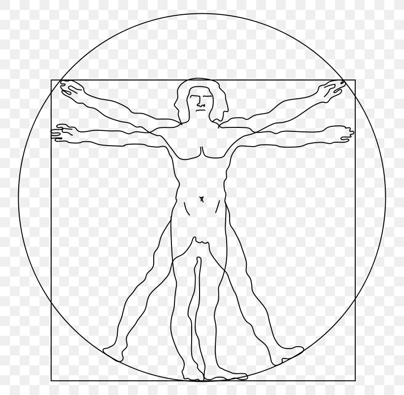 Vitruvian Man Clip Art, PNG, 800x800px, Watercolor, Cartoon, Flower, Frame, Heart Download Free