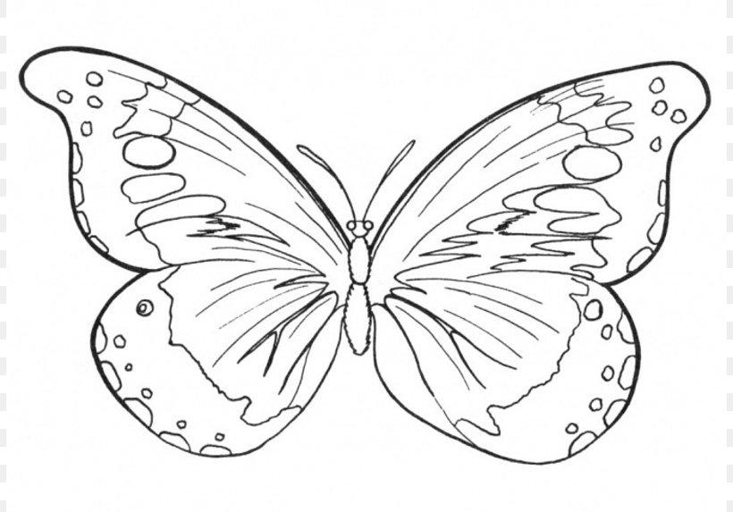 Butterfly Coloring Book Drawing Clip Art, PNG, 806x573px, Butterfly, Adult, Area, Artwork, Black And White Download Free