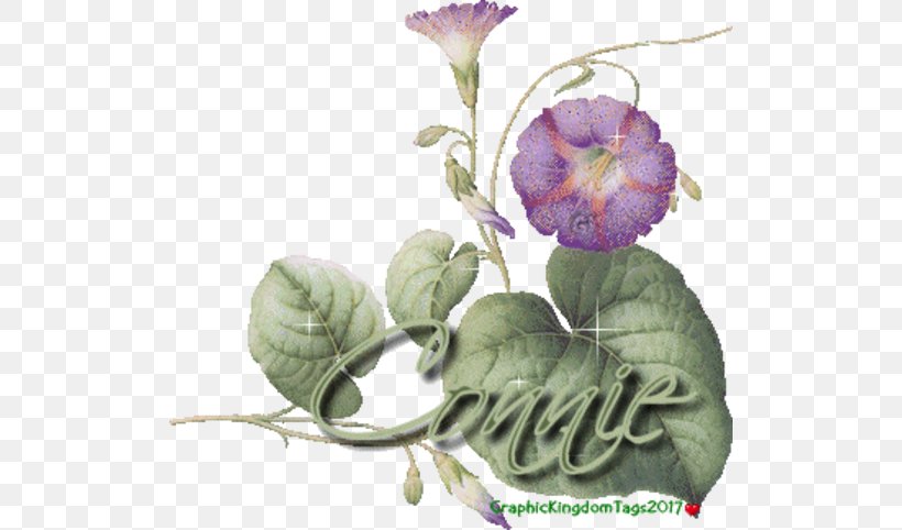 El En O Be Sha, PNG, 512x482px, Sha, Blog, Flower, Flowering Plant, Google Sites Download Free