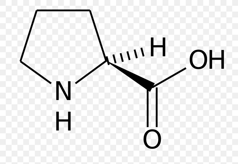 Hydroxyproline Amino Acid Amine Side Chain, PNG, 800x566px, Proline, Acid, Alanine, Alpha And Beta Carbon, Amine Download Free