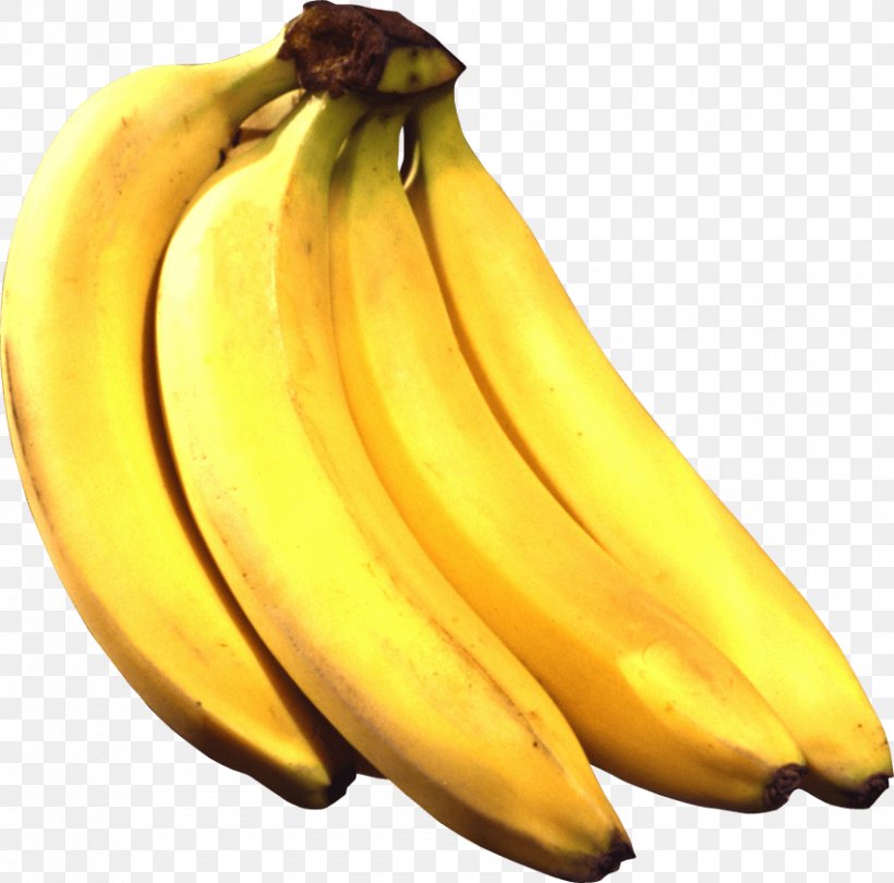 Banana Bread Banana Pudding Saba Banana, PNG, 850x840px, Banana Bread, Banana, Banana Family, Banana Peel, Banana Pudding Download Free