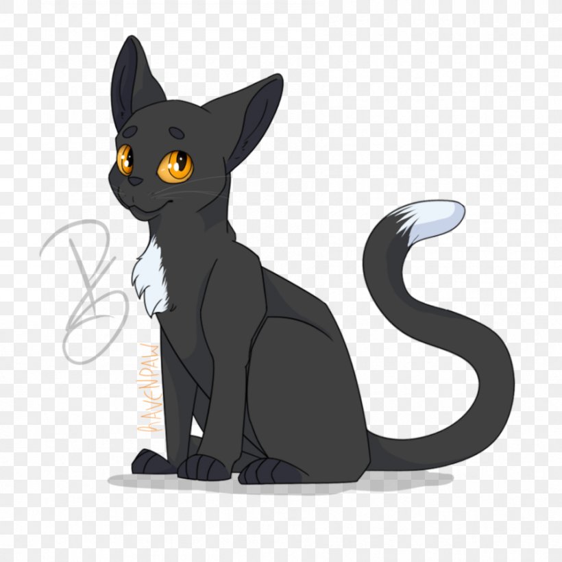 Black Cat Korat Kitten Ravenpaw Whiskers, PNG, 893x894px, Black Cat, Art, Carnivoran, Cartoon, Cat Download Free
