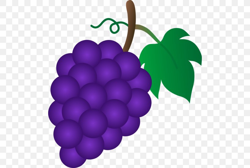 Common Grape Vine Sultana Clip Art, PNG, 504x550px, Common Grape Vine, Flowering Plant, Food, Fruit, Grape Download Free