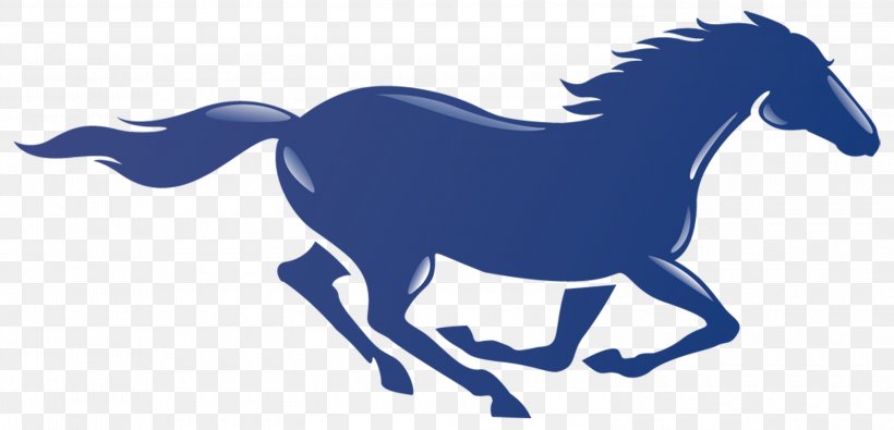 San Dieguito Academy La Costa Canyon High School Mustang Canyon Crest Academy Junior Varsity Team, PNG, 3000x1446px, San Dieguito Academy, Academic Term, Animal Figure, Basketball, Bridle Download Free
