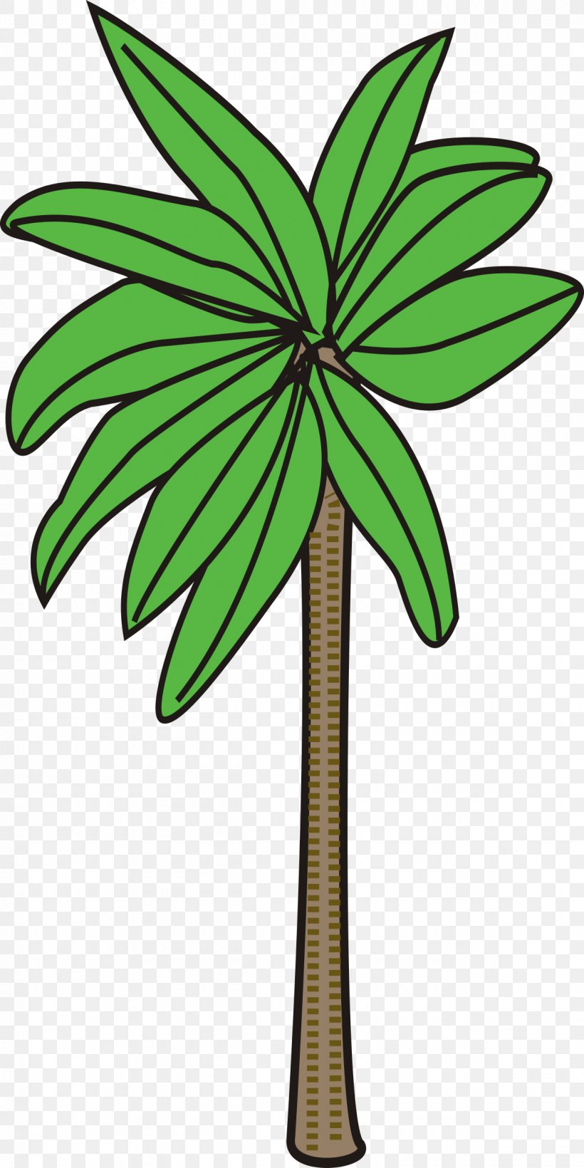 Tree Arecaceae Woody Plant Clip Art, PNG, 1200x2400px, Tree, Arecaceae, Branch, Date Palm, Flora Download Free