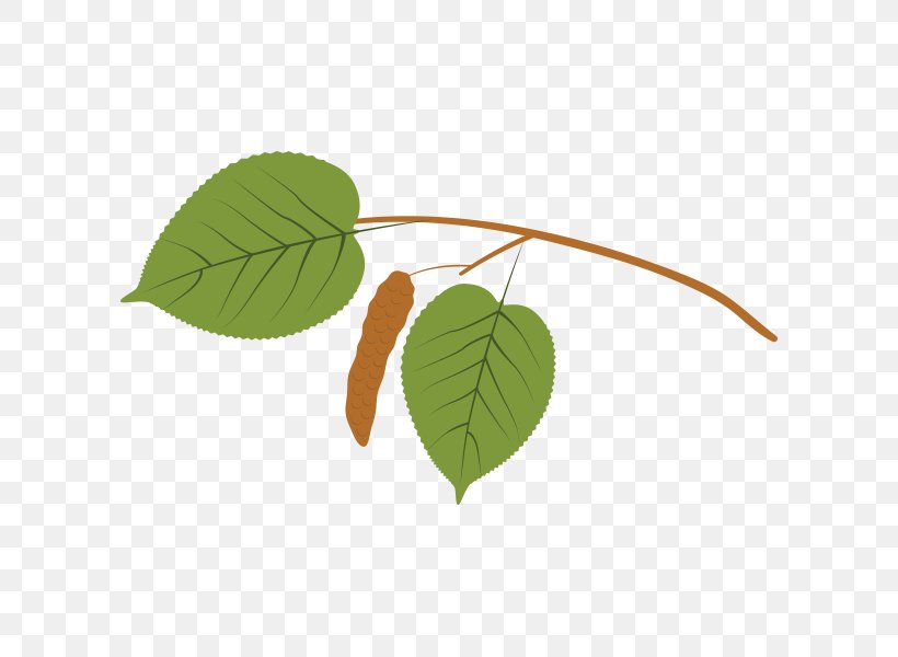 Autumn Leaf Color Sweetgum Tree Plant Stem, PNG, 600x600px, Leaf, Autumn Leaf Color, Birch, Bur Oak, Liriodendron Tulipifera Download Free