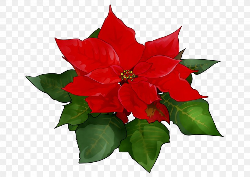 Cut Flowers Plants Floral Design Tree, PNG, 4279x3025px, Flower, Annual Plant, Christmas Decoration, Cut Flowers, Floral Design Download Free