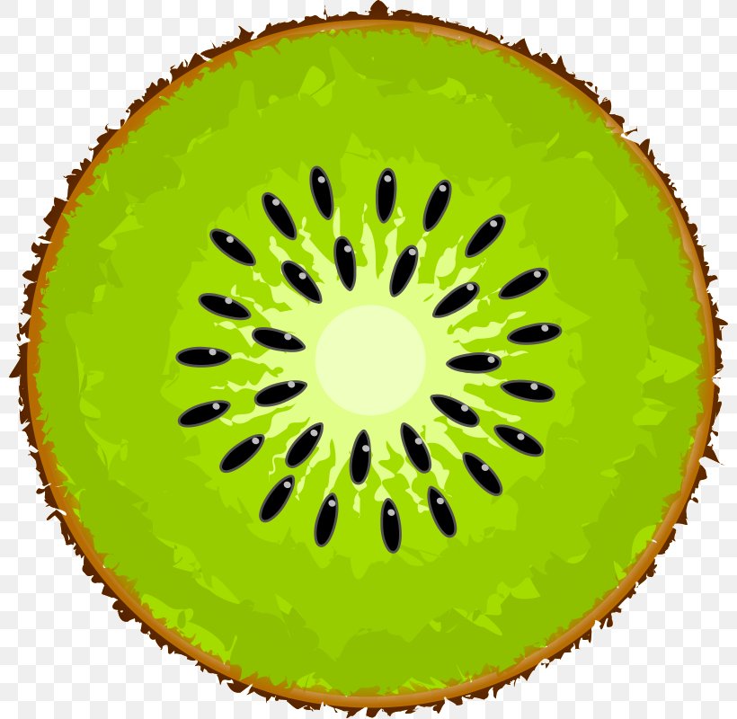 Kiwifruit Clip Art, PNG, 800x800px, Kiwifruit, Drawing, Food, Fruit, Green Download Free