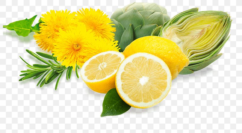 Lemon Oxidative Stress Food Free-radical Theory Of Aging Vegetarian Cuisine, PNG, 800x452px, Lemon, Citric Acid, Citrus, Diet Food, Flower Download Free