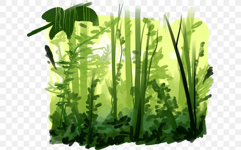 Rainforest Image Animation Vector Graphics, PNG, 637x511px, Rainforest, Animated Cartoon, Animation, Aquarium Decor, Cartoon Download Free