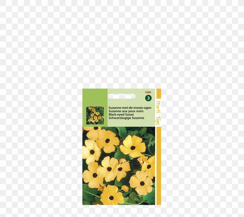 Black-eyed Susan Vine Clockvines, PNG, 1466x1308px, Yellow, Flora, Flower, Grass, Plant Download Free