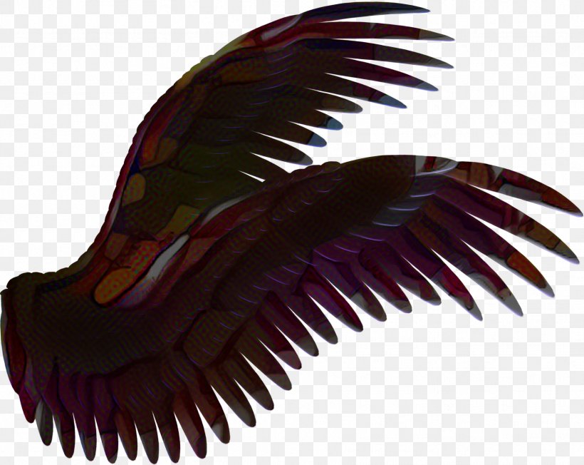 Drawing Maroon, PNG, 1767x1405px, Drawing, Maroon, Wing Download Free