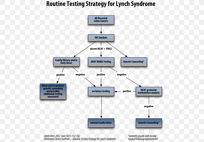 Hereditary Nonpolyposis Colorectal Cancer Endometrial Cancer MLH1, PNG, 532x572px, Colorectal Cancer, Area, Braf, Cancer, Diagram Download Free