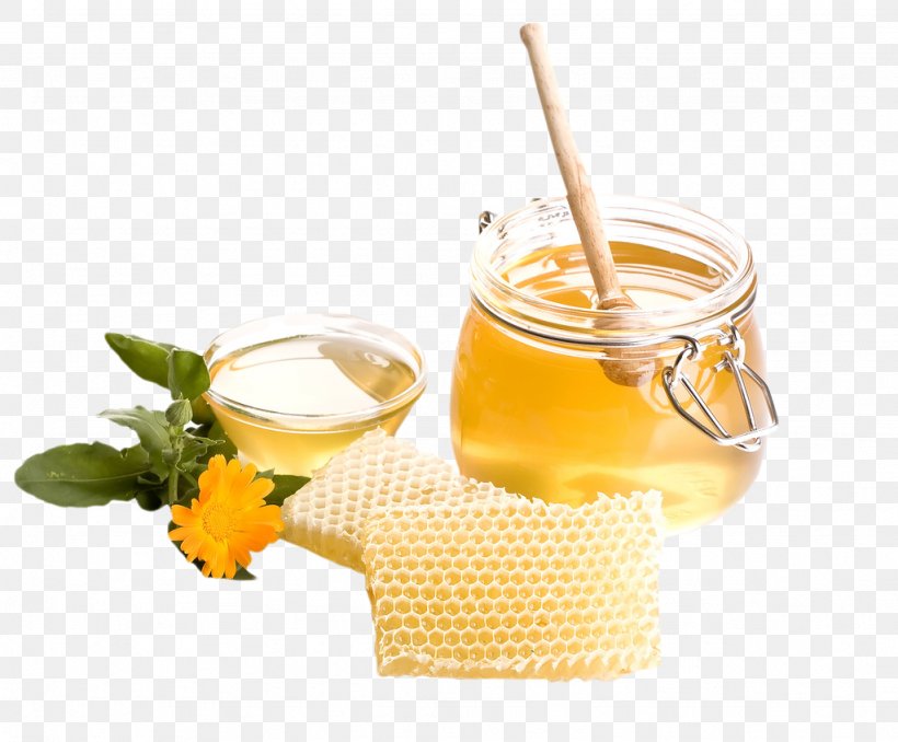 Honey Bee Honey Bee Honeycomb, PNG, 1024x847px, Honey, Candy, Cup, Dessert, Drink Download Free