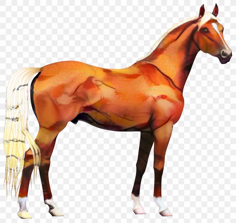 Vector Graphics Clip Art Appaloosa Illustration Stallion, PNG, 2998x2835px, Appaloosa, Animal Figure, Equestrian, Foal, Horse Download Free