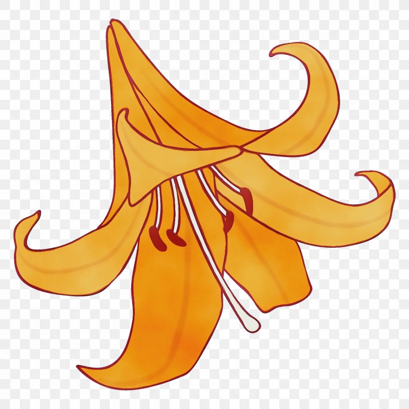 Yellow Canada Lily Plant Clip Art, PNG, 1200x1200px, Watercolor, Paint, Plant, Wet Ink, Yellow Canada Lily Download Free