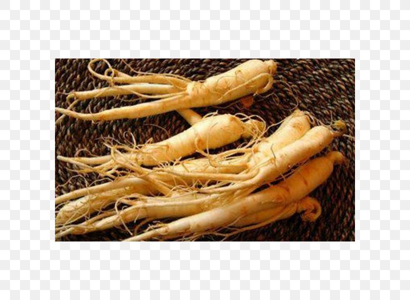Asian Ginseng Root Korea Food Health, PNG, 600x600px, Asian Ginseng, American Ginseng, Extract, Food, Ginseng Download Free