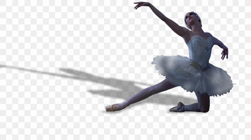 Ballet Dance Swan Lake Pointe Technique Cygnini, PNG, 1499x839px, Watercolor, Cartoon, Flower, Frame, Heart Download Free
