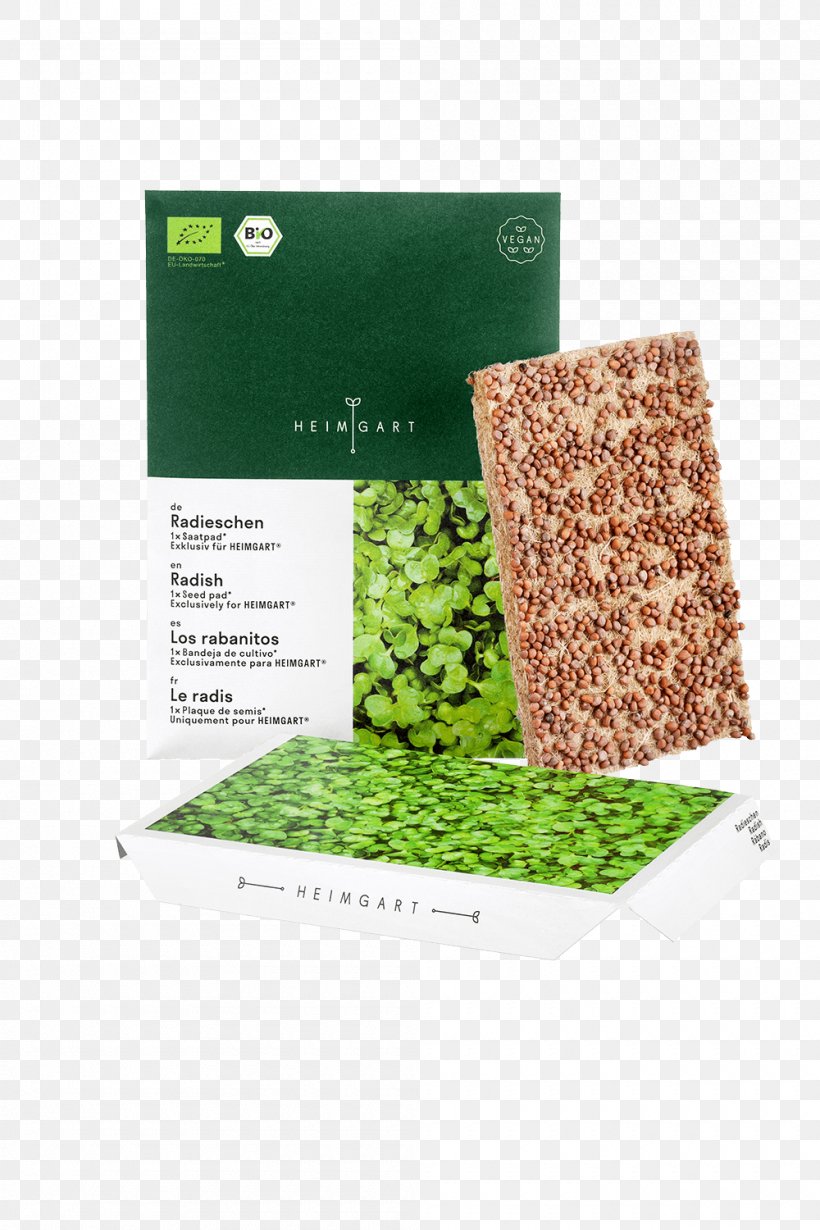 Microgreen Garden Radish Seed Arugula Lettuce, PNG, 1000x1500px, Microgreen, Arugula, Garden Radish, Grass, Lettuce Download Free