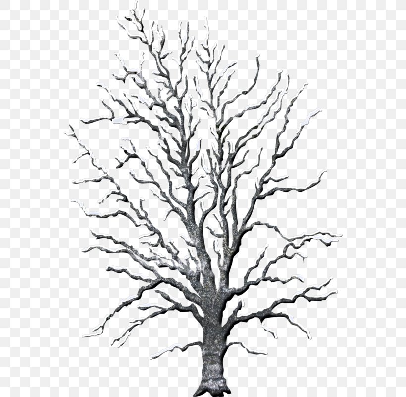 Twig Line Art Drawing Clip Art, PNG, 564x800px, Twig, Artwork, Black And White, Branch, Christmas Download Free