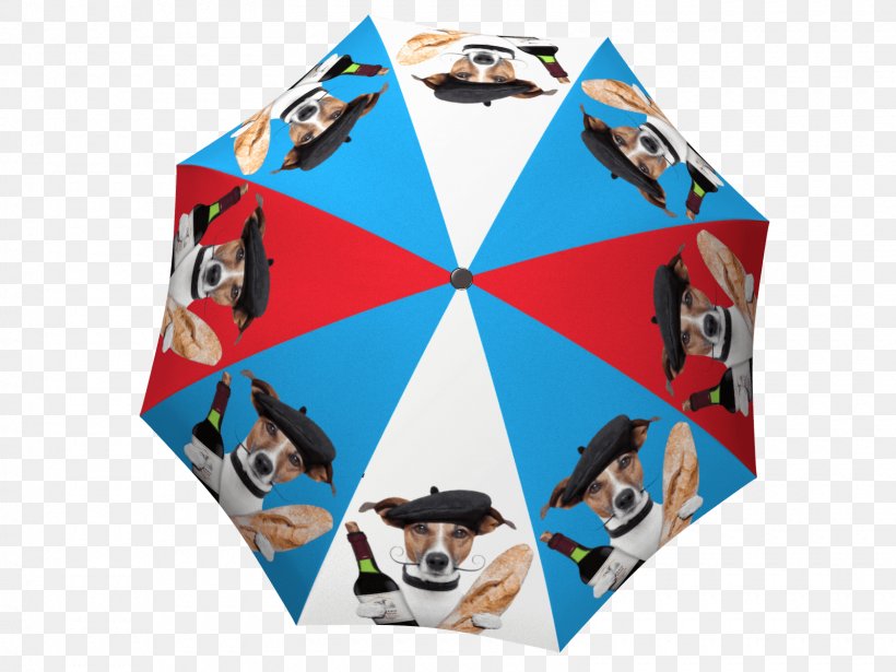 La Bella Umbrella Gift Shop, PNG, 1600x1200px, La Bella Umbrella, Art, Box, Designer, Gift Download Free