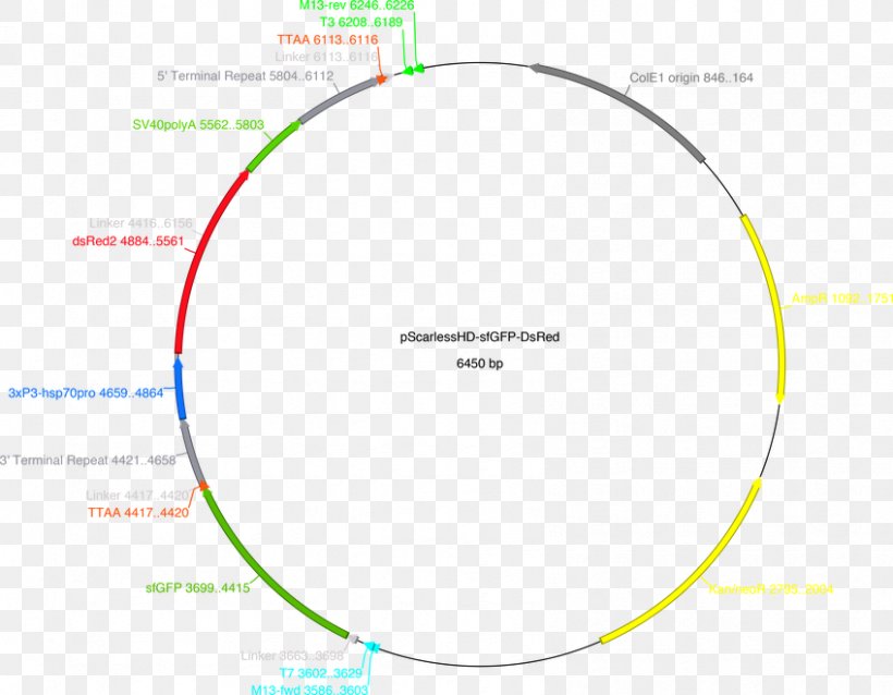 Brand Product Design Green Diagram Angle, PNG, 848x660px, Brand, Area, Diagram, Green, Sphere Download Free