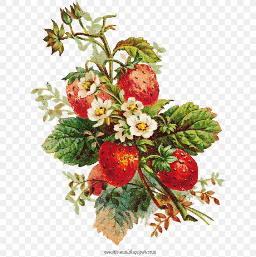 Floral Design Strawberry Pie Clip Art, PNG, 624x823px, Floral Design, Art, Berry, Cut Flowers, Drawing Download Free