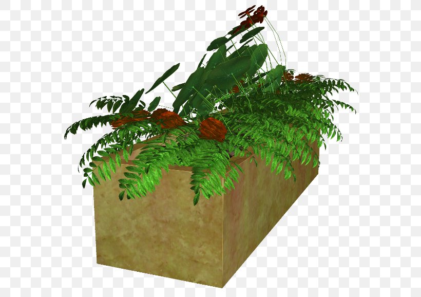 Flower Plants Painting Website, PNG, 600x578px, Flower, Branch, Fern, Ferns And Horsetails, Fir Download Free