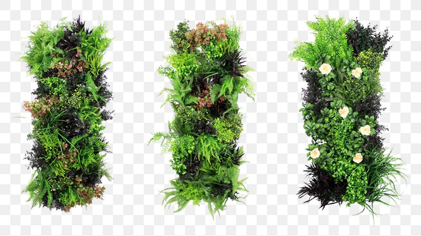Green Wall Vertical Gardens Stone Wall, PNG, 776x461px, Green Wall, Artificial Turf, Balcony, Building, Evergreen Download Free