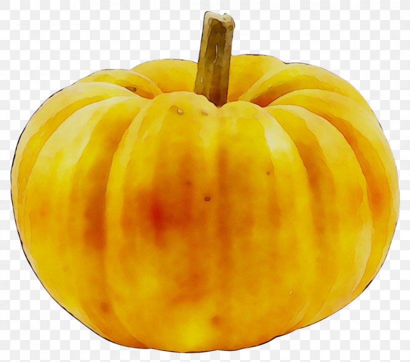 Pumpkin Gourd Calabaza Winter Squash Vegetarian Cuisine, PNG, 1191x1053px, Pumpkin, Acorn Squash, Apple, Calabaza, Cucurbita Download Free