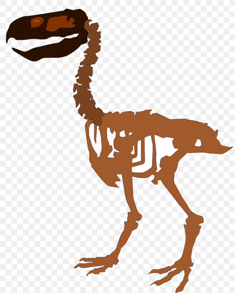 Velociraptor Extinction Paraphysornis Bird Phorusrhacos, PNG, 822x1024px, Velociraptor, Animal, Animal Figure, Beak, Bird Download Free