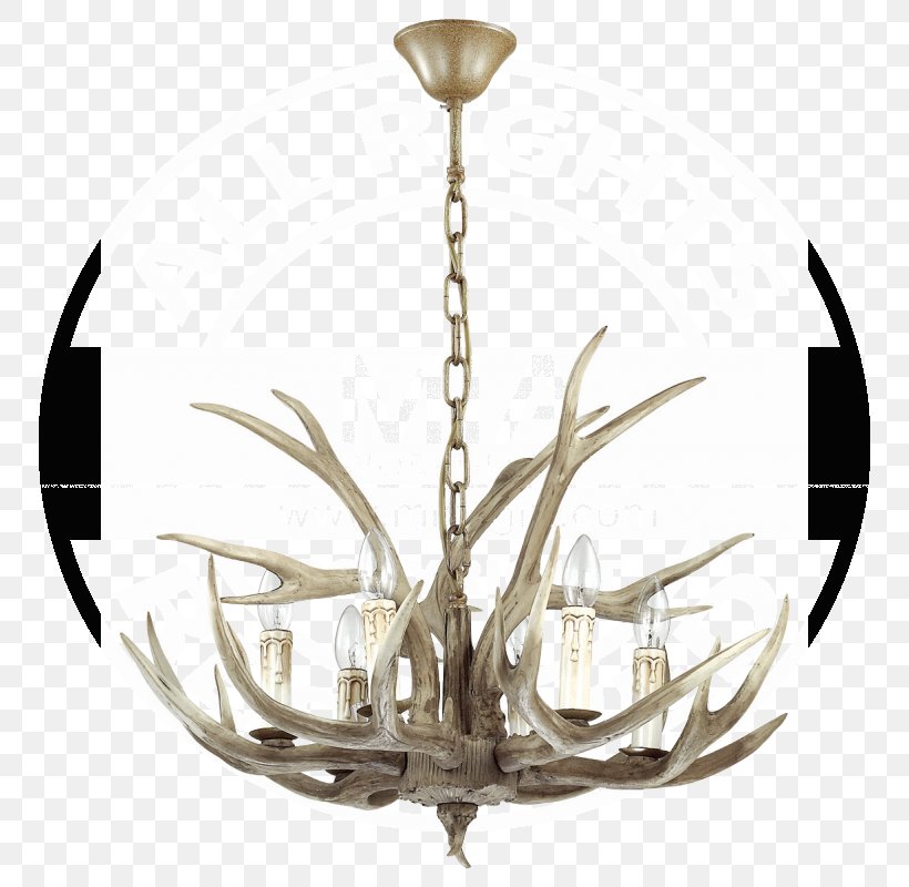 Chandelier Light Fixture Candelabra Lighting, PNG, 800x800px, Chandelier, Antler, Candelabra, Ceiling Fixture, Decor Download Free