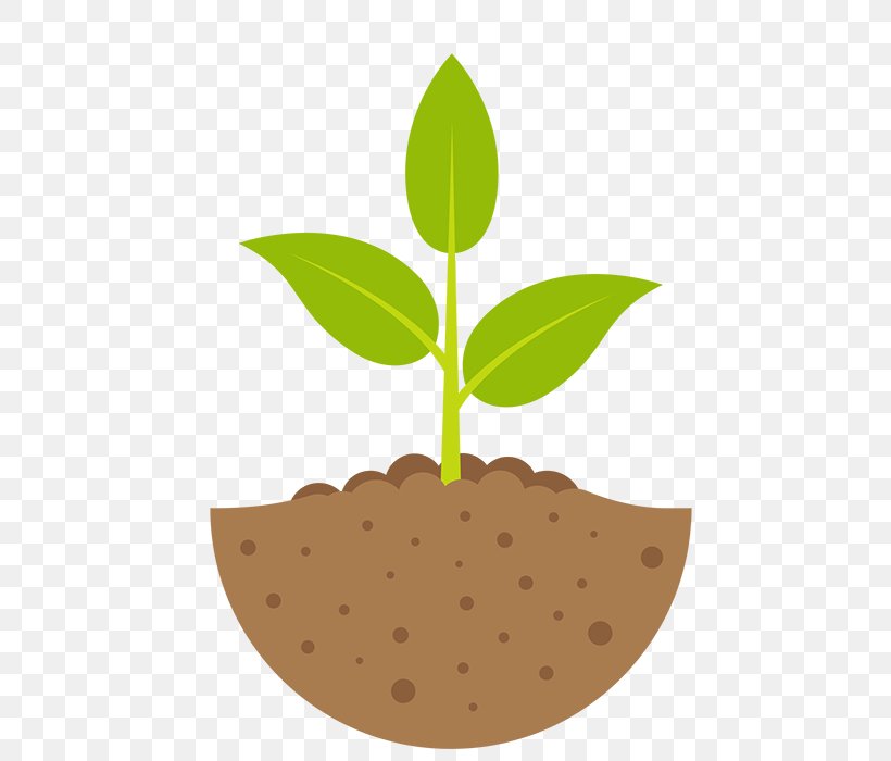 Clip Art Vector Graphics Illustration Plants Royalty-free, PNG, 622x700px, Plants, Istock, Leaf, Plant, Plant Stem Download Free