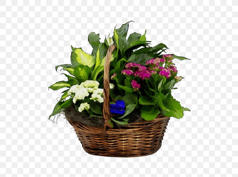 Floral Design, PNG, 500x611px, Watercolor, Annual Plant, Basket, Cut Flowers, Family Download Free