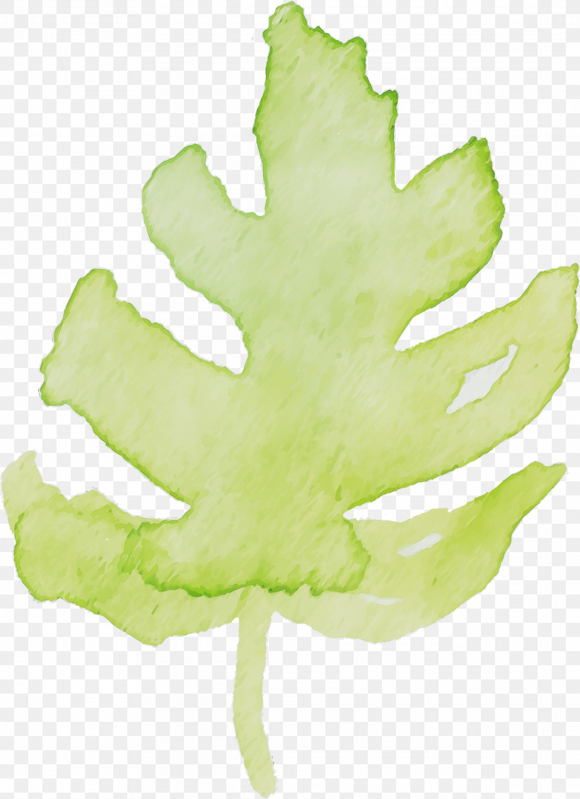 Maple Leaf, PNG, 2178x3000px, Watercolor, Green, Hand, Leaf, Maple Leaf Download Free