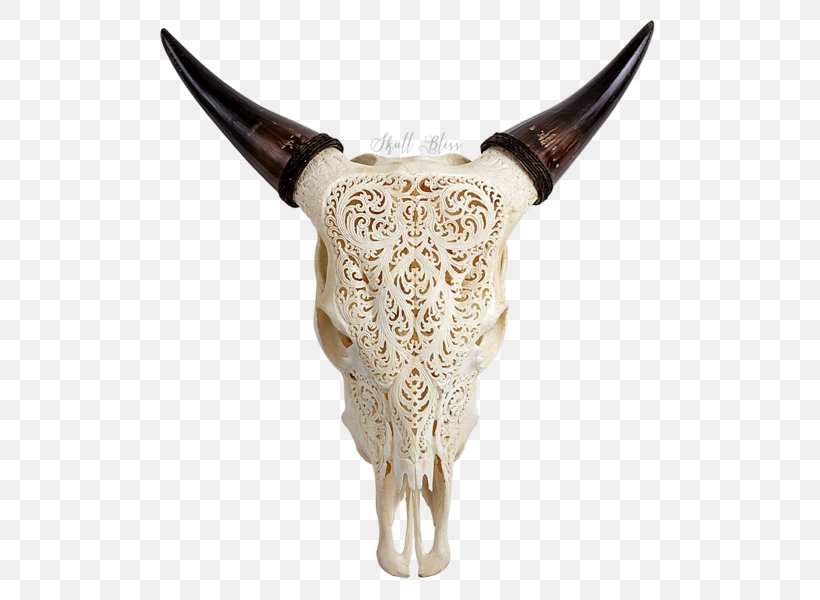 Texas Longhorn English Longhorn Animal Skulls Cow's Skull: Red, White, And Blue, PNG, 600x600px, Texas Longhorn, Animal, Animal Skulls, Bone, Bull Download Free