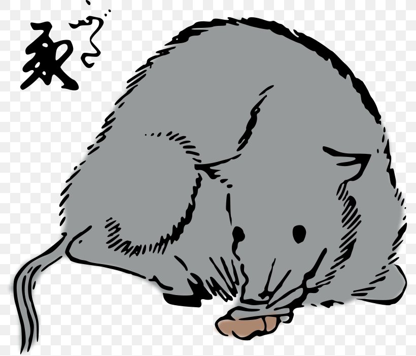 Rat Mouse Whiskers Cat Clip Art, PNG, 800x701px, Rat, Artwork, Beak, Beaver, Black And White Download Free