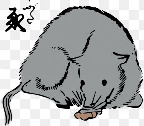 Rat - Rat Mouse Whiskers Cat Clip Art PNG