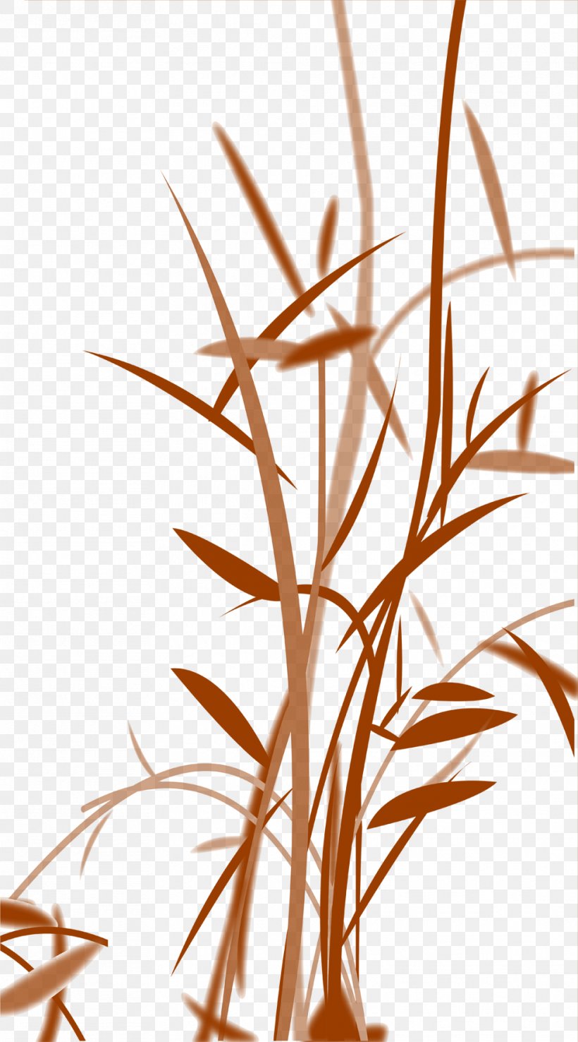 Bamboo Leaf Bamboe Euclidean Vector, PNG, 987x1777px, Bamboo, Bamboe, Branch, Commodity, Flora Download Free