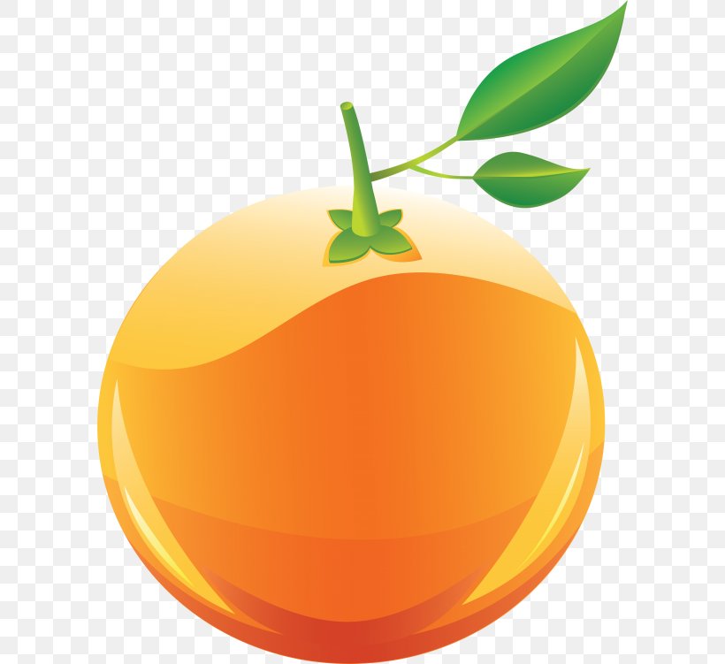 Clip Art Transparency Openclipart Orange, PNG, 600x751px, Orange, Citrus, Clementine, Food, Fruit Download Free