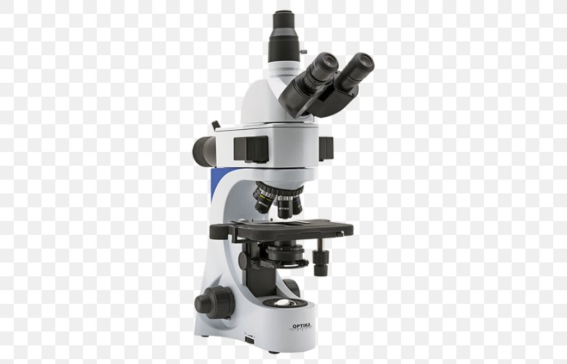 Light Optical Microscope Fluorescence Microscope Optics, PNG, 540x527px, Light, Brightfield Microscopy, Digital Microscope, Electron Microscope, Fluorescence Download Free