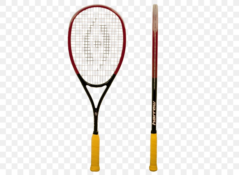 Squash Racket Sporting Goods Tecnifibre, PNG, 600x600px, Squash, Asics, Badminton, Jonathon Power, Natalie Grainger Download Free
