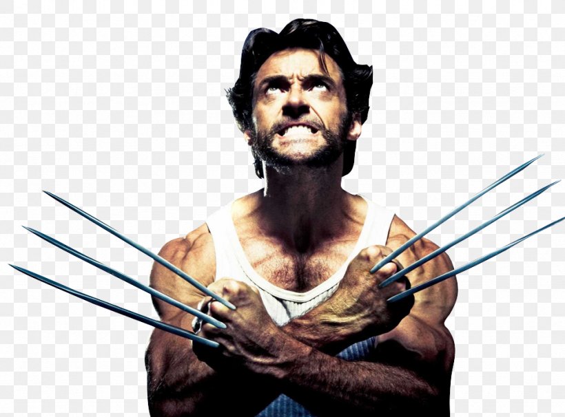 Hugh Jackman X-Men Origins: Wolverine David North YouTube, PNG, 973x720px, Hugh Jackman, Actor, Beard, Blade Trinity, Comics Download Free