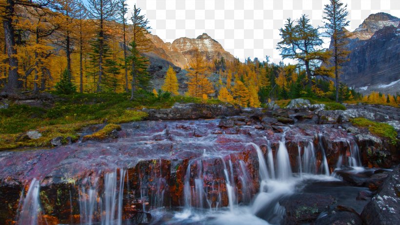 Lake OHara Emerald Lake Opabin Lake Hungabee Lake Columbia River, PNG, 1920x1080px, Emerald Lake, Autumn, Body Of Water, British Columbia, Canada Download Free