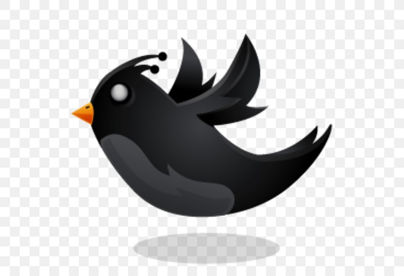 Samsung Galaxy Y Android Larry The Bird HUNGRYBIRD TAP TO FLAP AND FLY, PNG, 560x560px, Samsung Galaxy Y, Android, Animal, Beak, Bird Download Free