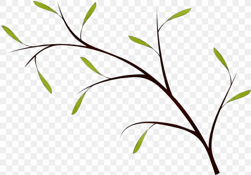 Twig Plant Stem Leaf Grasses Flower, PNG, 1040x725px, Watercolor, Biology, Commodity, Flower, Grasses Download Free