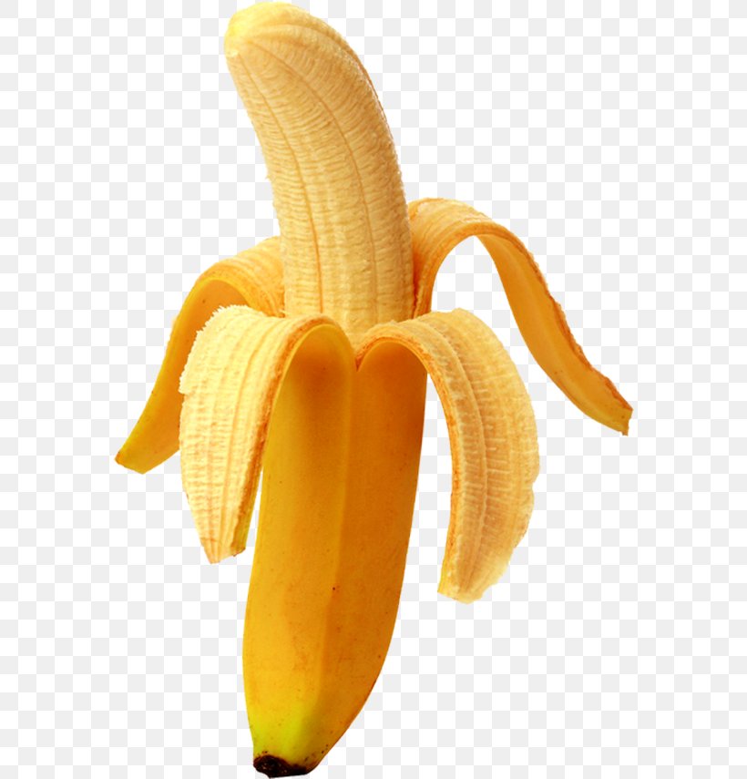 Banana Peel Stock Photography Cooking Banana, PNG, 572x855px, Banana ...