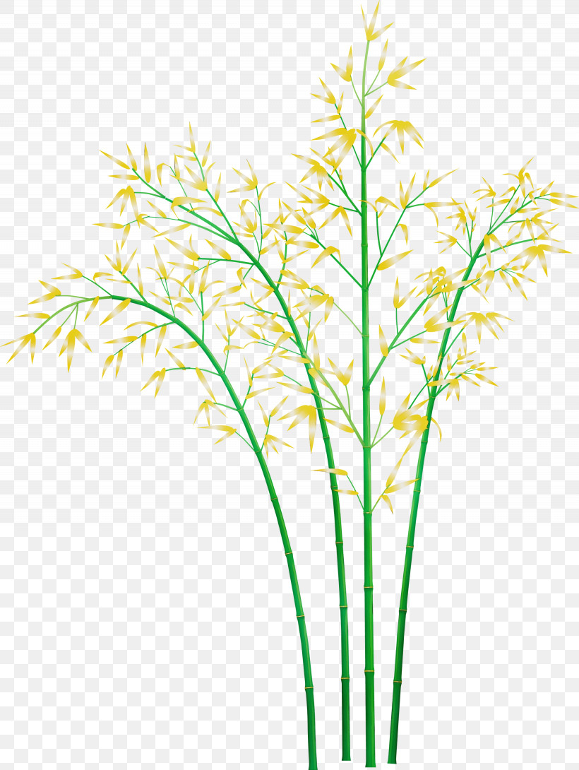 Grass Plant Plant Stem Grass Family Leaf, PNG, 2255x3000px, Bamboo, Flower, Grass, Grass Family, Leaf Download Free